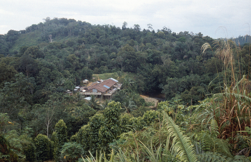 768_Een Iban-longhouse, ver weg in de jungle.jpg